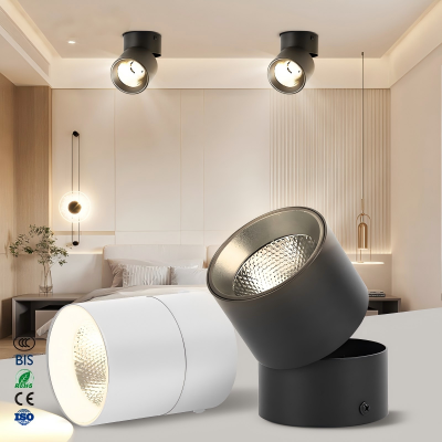 2026 LED ceiling mounted spot light (1).png