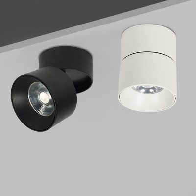 2026 LED ceiling mounted spot light (4).png