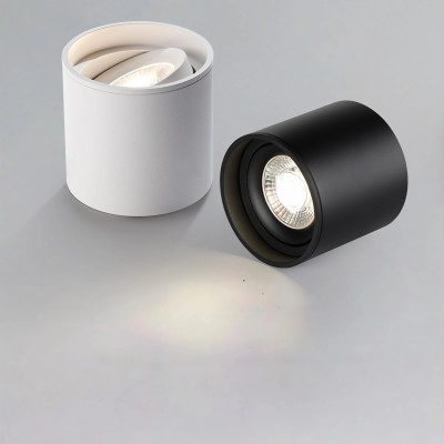 2026 surface mounted spot light (8).png