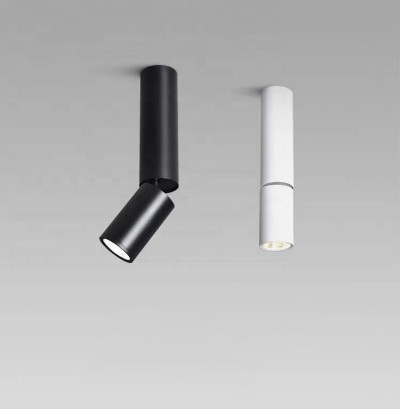 2026 LED ceiling mounted spot light (12).png