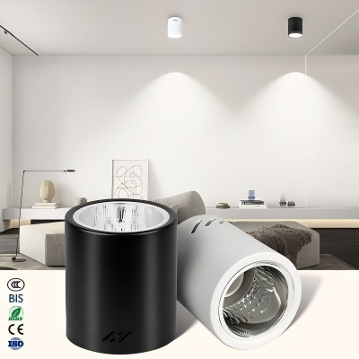 2026 surface mounted spot light (1).png