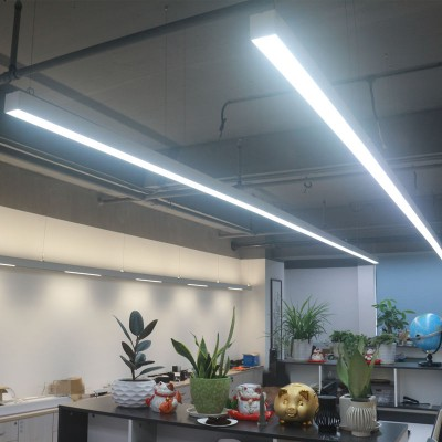 2026 BLED linear  light (6).png