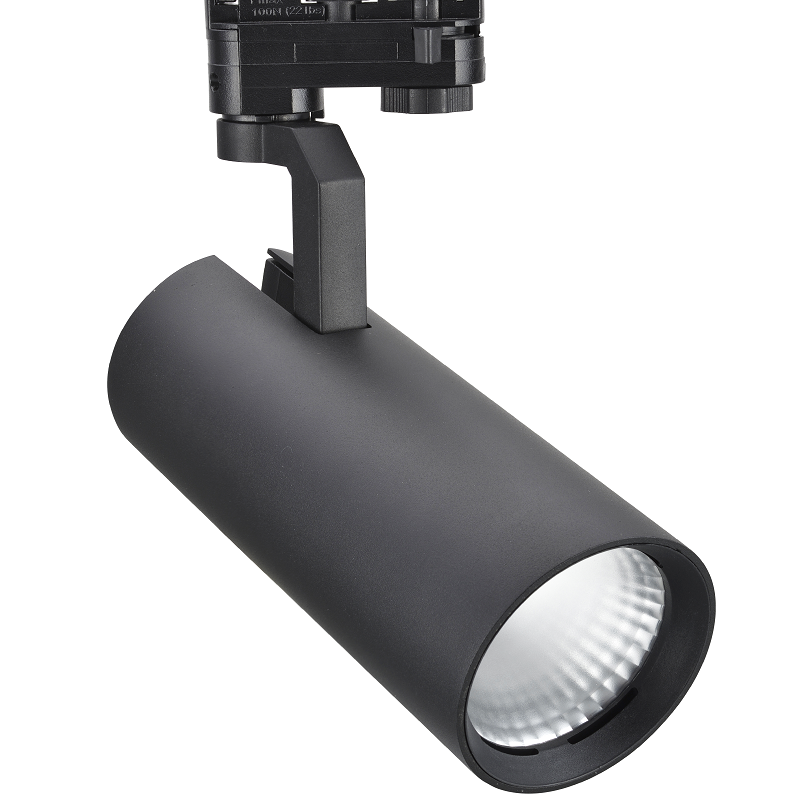 Torch Plus