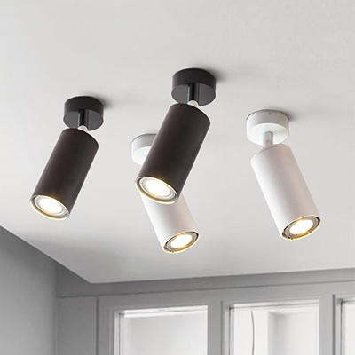 20240531-2 ceiling mounted spot light.jpg