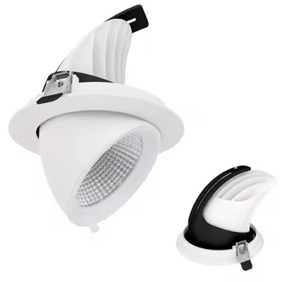 4. Recessed adjustable spot light.jpg