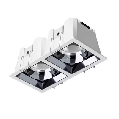 4. commercial lighting twin head downlight.jpg