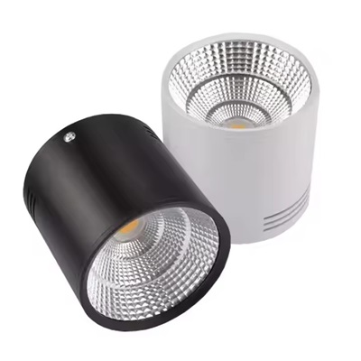 5. surface mounted down light.jpg