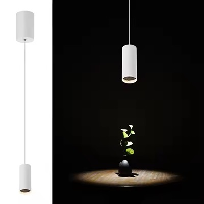 9. LED pendant spot light.jpg