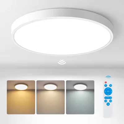 14. sensor ceiling light bled.jpg