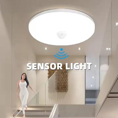 2. ceiling mounted sensor light.jpg