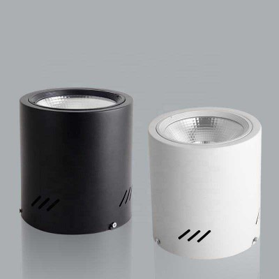 11. bled surface mounted column downlight.jpg