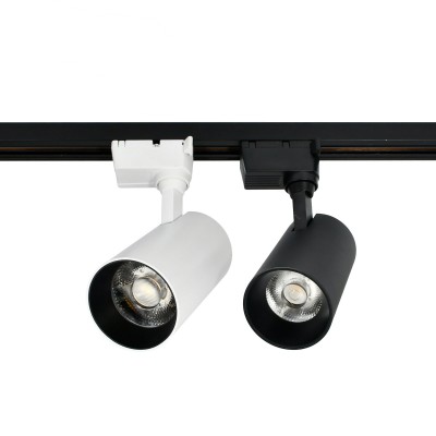 34. dali track light.jpg