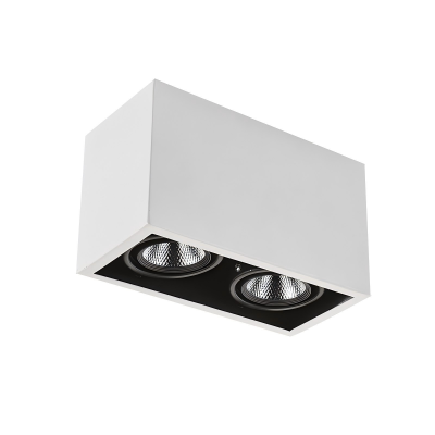 2026 LED grille light commercial lighting (39).png
