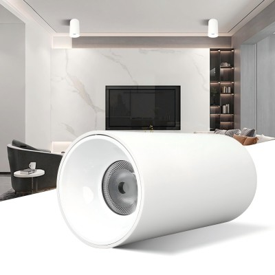20260405 surface mounted downlight (7).png